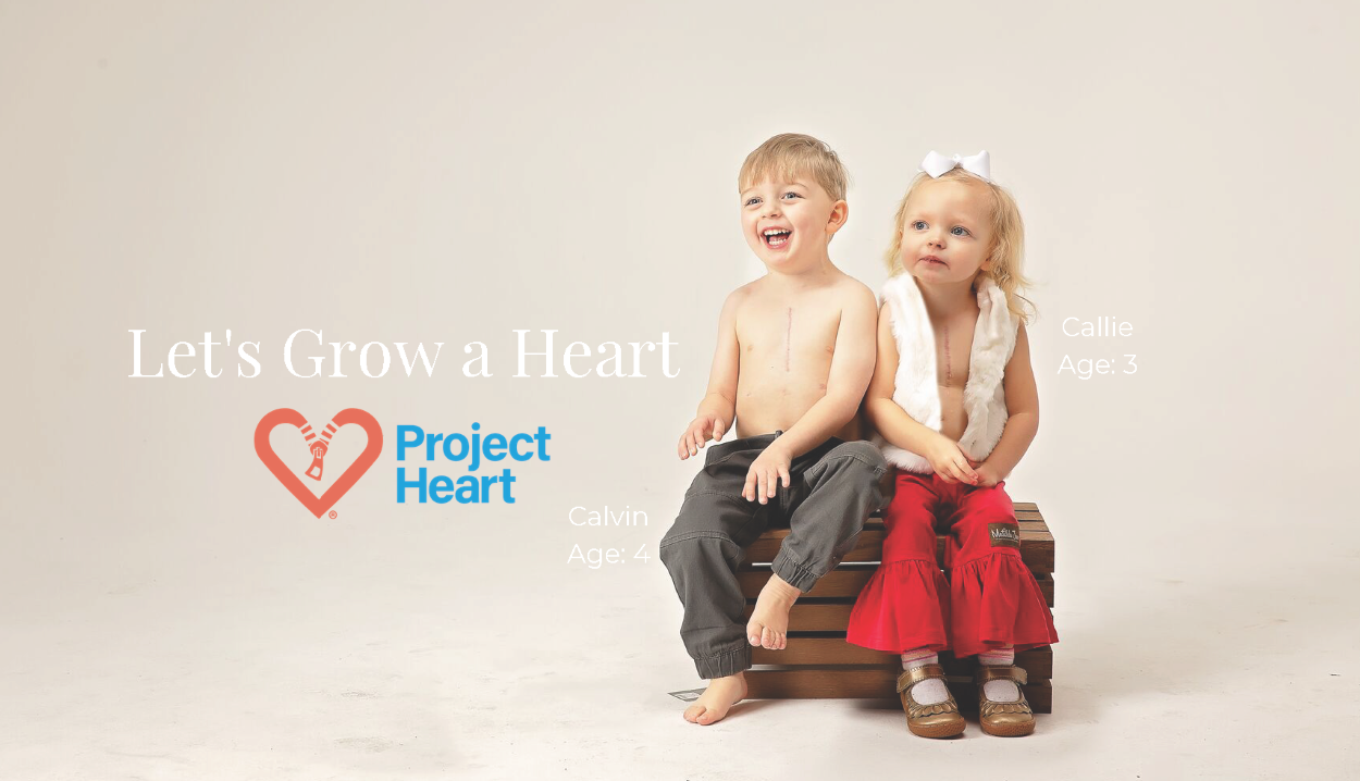 Project Heart's mission to build a heart to cure CHD