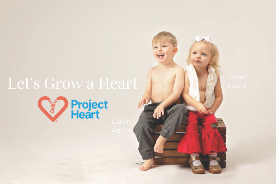 Project Heart's mission to build a heart to cure CHD